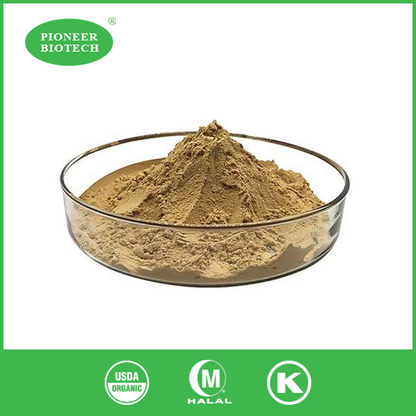 organic milk thistle extract